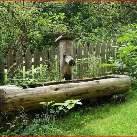 Chalet Muhlfeldhof Hopfgarten im Brixental