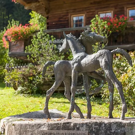 Chalet Chalet Muhlfeldhof Hopfgarten im Brixental
