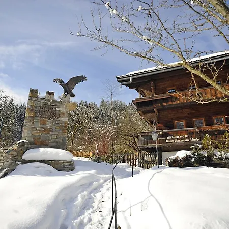 Chalet Muhlfeldhof 布里克森谷地霍普夫加尔滕
