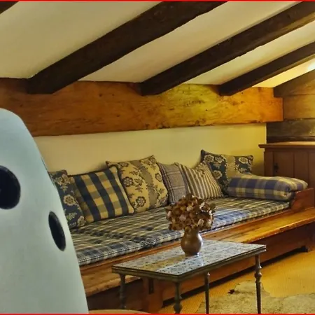 Chalet Muhlfeldhof 木屋 布里克森谷地霍普夫加尔滕